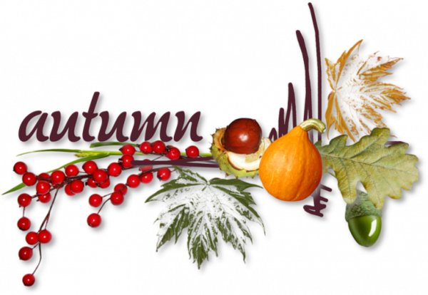 Saison Automne