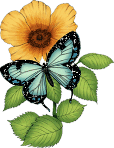 Papillons