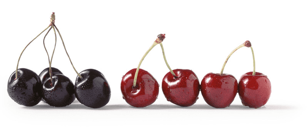 Fruits/Légumes