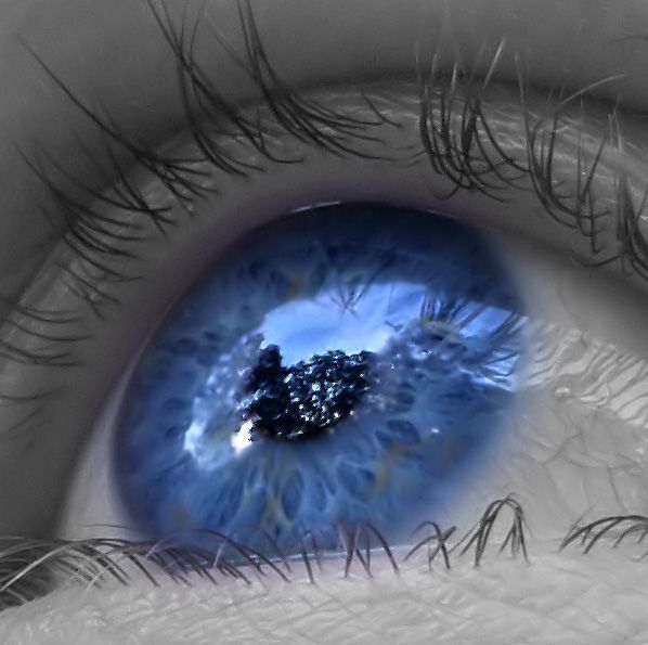 Regard