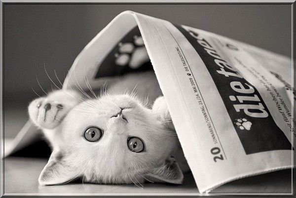 Couleurs NOIR ET BLANC - Page 2